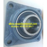 VÒNG BI-UCX13-FX13- UCFX13